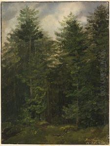 Tannenwald Bei Berchtesgaden by Christian Bernhard Morgenstern