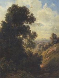 Hohlweg Mit Wanderer Im Dachauer Land