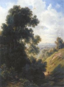 Landschaft Mit Wanderer Und Blick Auf Eine Stadt