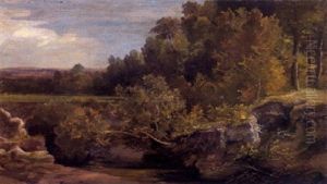 Waldlandschaft Mit Wasser Waldlandschaft Mit Wasser