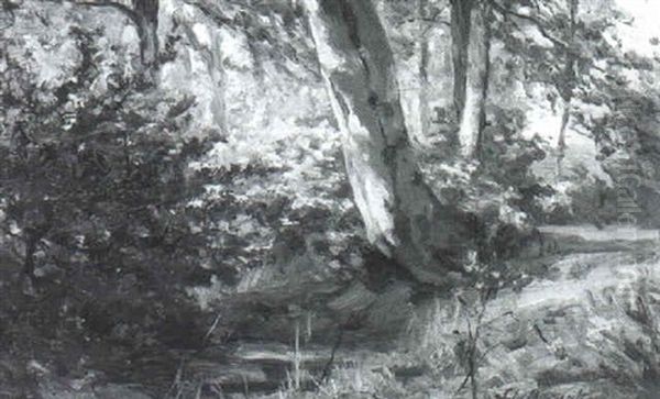 Waldinneres - view 1