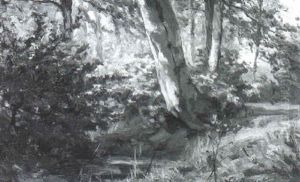 Waldinneres