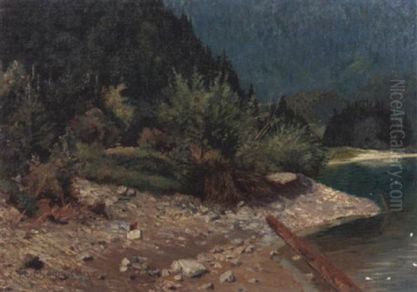 Gebirgsflusufer - view 1
