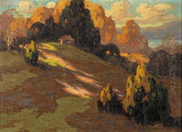 Afternoon Light - view 1