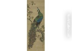 Peacock by Shuho Mori