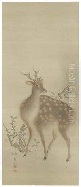 Deer - view 1