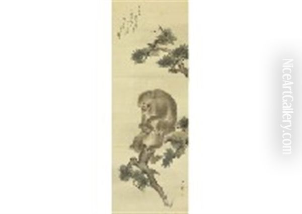 Mother And Child Of Monkey On Pine Tree - view 1