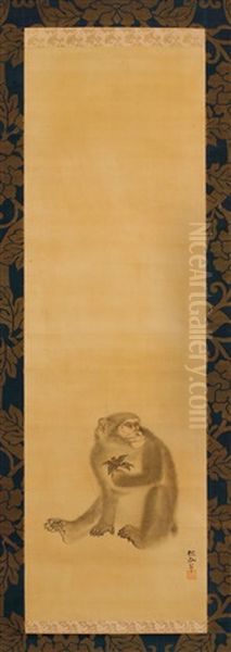 A Monkey - view 1
