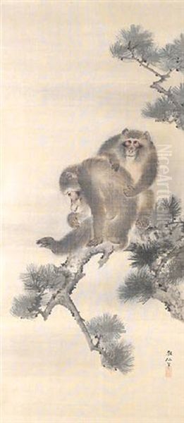 Two Monkeys On A Pine Branch - view 1