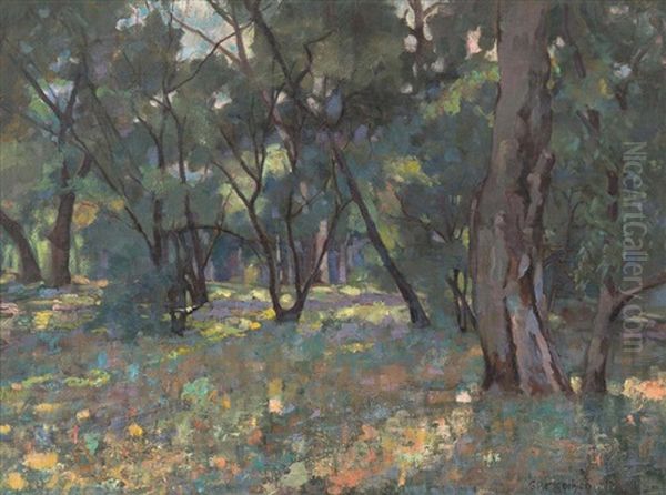 Dappled Sunlight - view 1