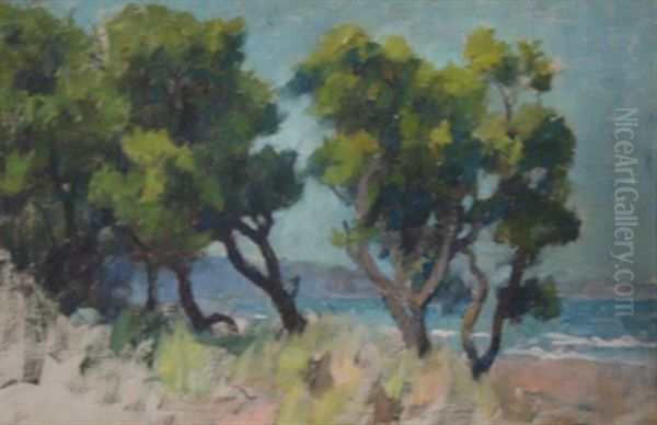 Trees By The River - view 1