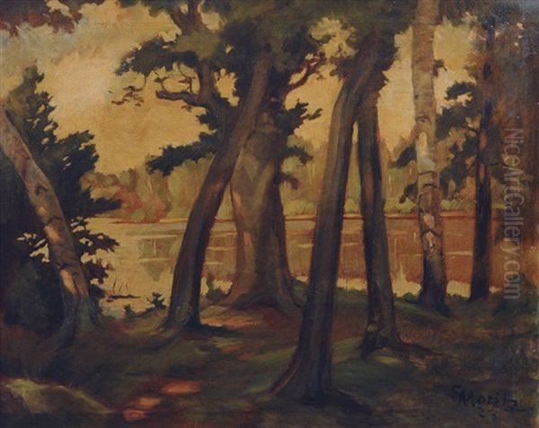 Pond In A Wood - view 1
