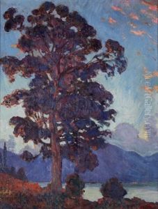 Eucalyptus En Baie D'ajaccio by Raymond Moritz