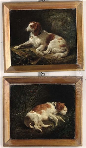 Sleeping Dog; Sitting Dog - view 1