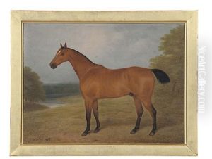 Study Of 'wetherby', A Bay Hunter; Forester (pair)