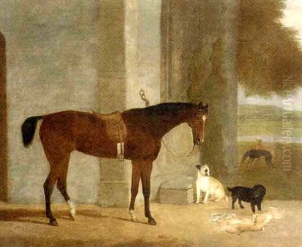 A Dark Brown Horse Tethered To An Arch With Dogs In A Landscape - view 1