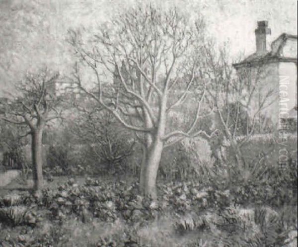 Cabbages - view 1