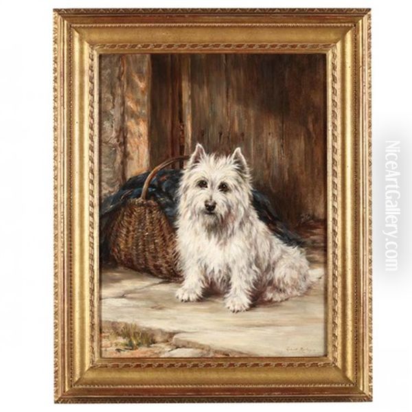 A Westie - view 1