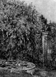 Roses At Eventide by Robert Morley