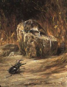 Safety First by Robert Morley