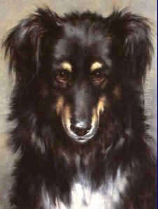 A Head Study Of A Black And Tan Collie