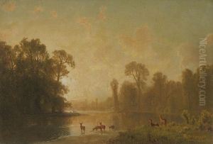 Twilight With Deer