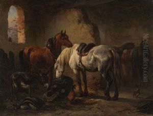 Stable Scene