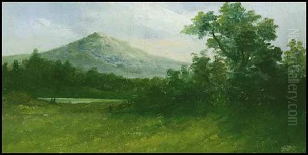 Landscape - view 1