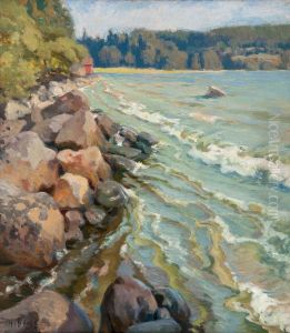 Rocks On The Shore Rocks On The Shore