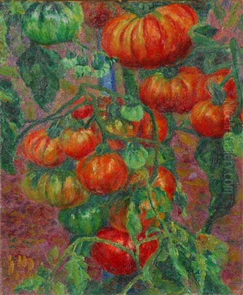 Tomates - view 1