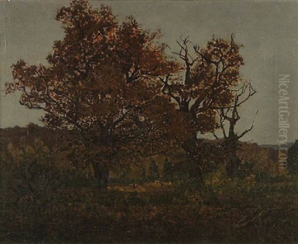 Landscape - view 1