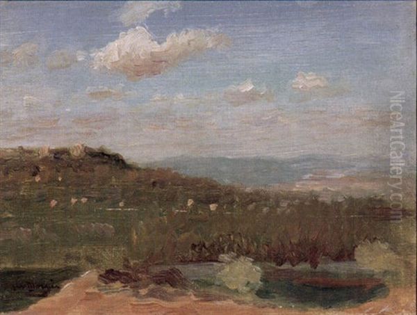 Sunlit Landscape - view 1