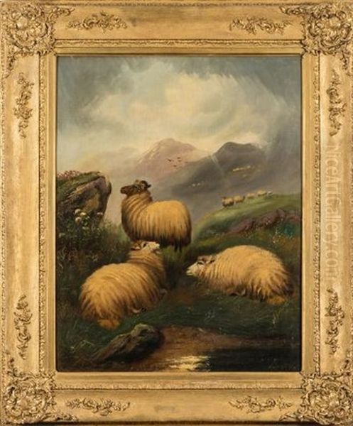 Sheep In The Highlands - view 1