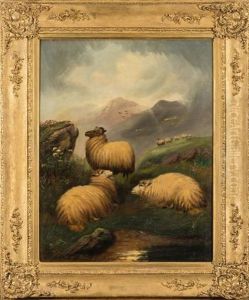 Sheep In The Highlands by John W. Morris