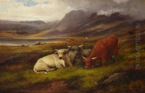 Highland Cows, Loch-side Highland Cows, Loch-side