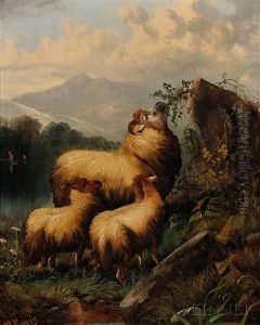 Three Sheep In A Highland Landscape by John W. Morris