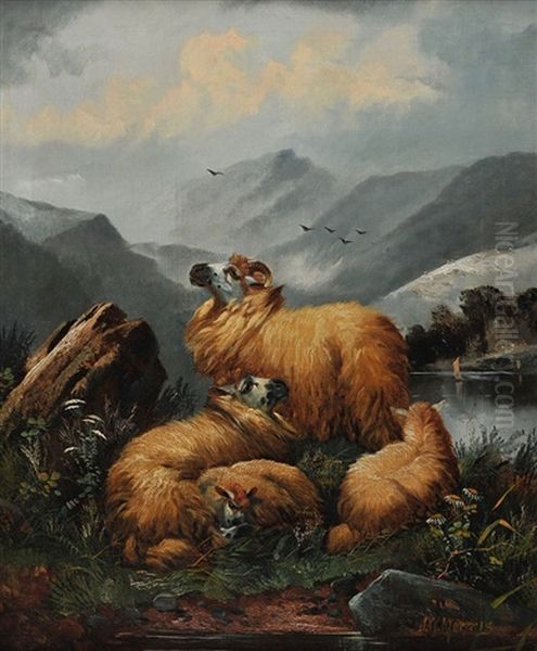 Guarding The Sheep - view 1