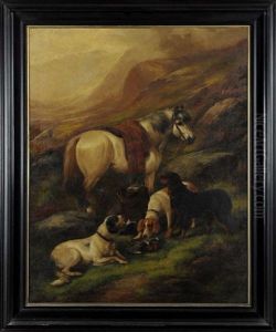 A Pony And Three Setters On A Scottish Grouse Moor