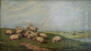 Sheep And Cattle In A Meadow Sheep And Cattle In A Meadow
