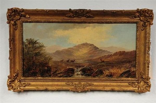 Highland Scene - view 1