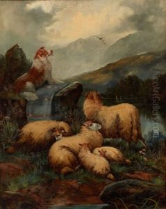 The Highlands by John W. Morris