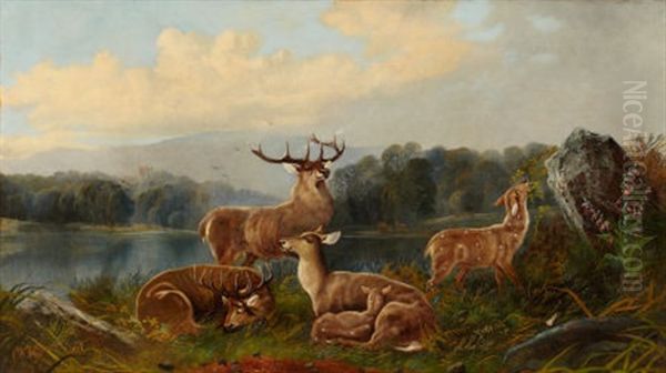Deer In Landscape - view 1