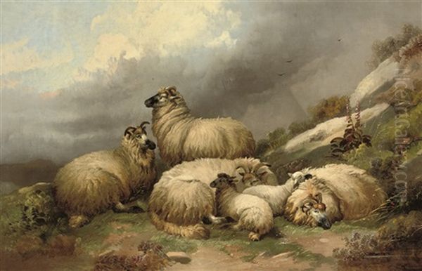 Sheep Grazing In A Landscape - view 1