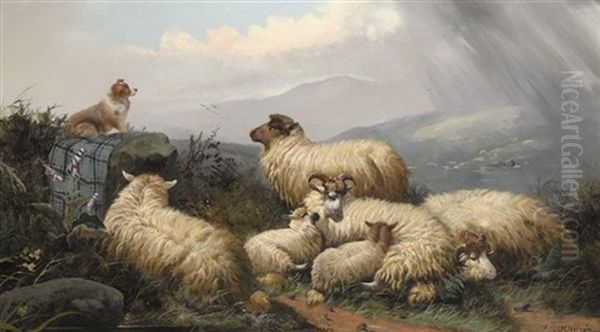 Guarding The Sheep - view 1