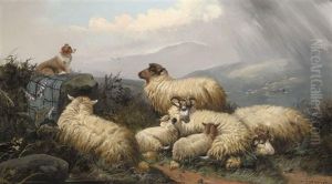 Guarding The Sheep by John W. Morris