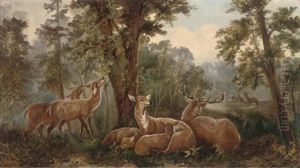 Stags And Deer In A Wooded Landscape by John W. Morris