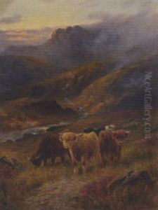 Highland Cattle by John W. Morris