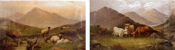 Sheep Resting By A Highland Burn - view 1