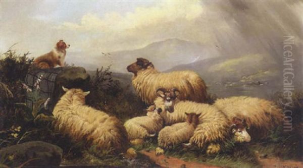 Sheep In A Highland Landscape - view 1
