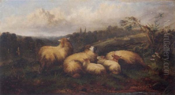 Sheep Resting By A River - view 1